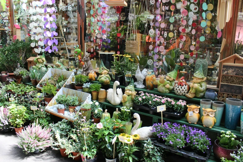 a couple of potted plants with flowers in them