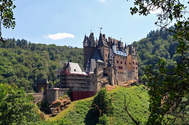 a castle is standing on a green hill