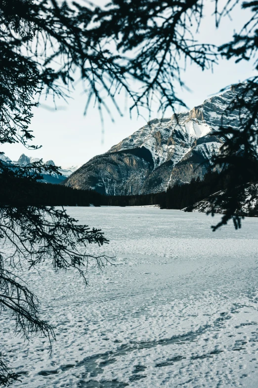 a snow covered field with a snowy mountain in the background