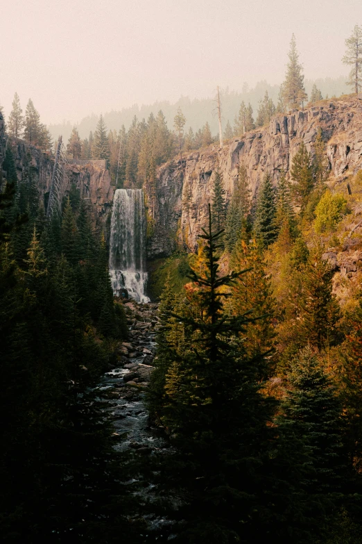 the waterfall is near a forest and rocks