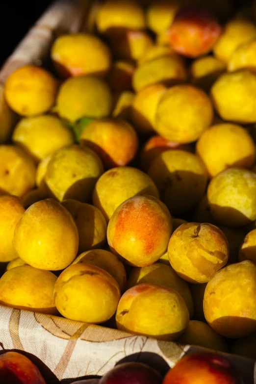 yellow peaches and plums are arranged on a cloth