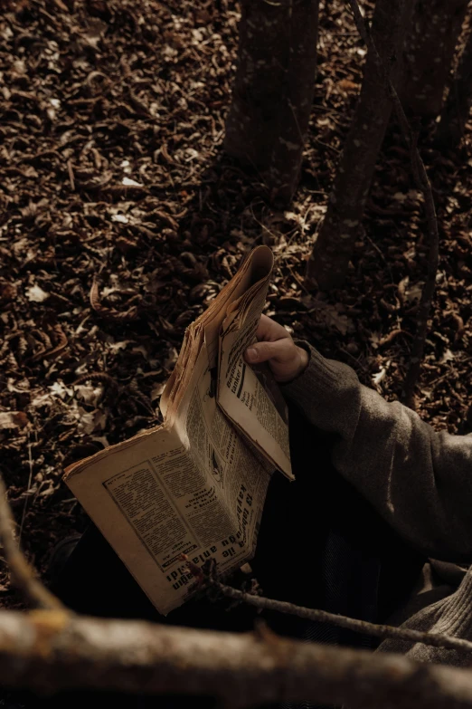 a person is reading a book in the woods