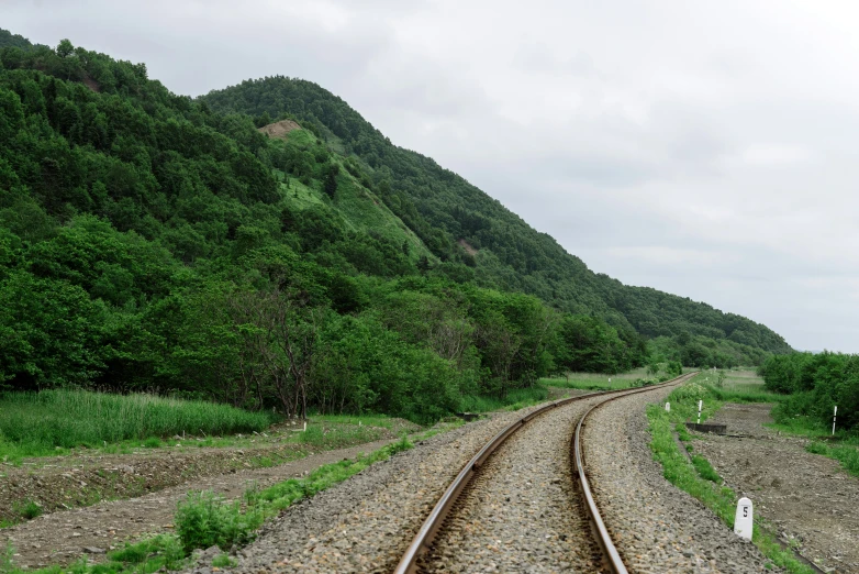 the railway tracks lead through green vegetation to a mountain