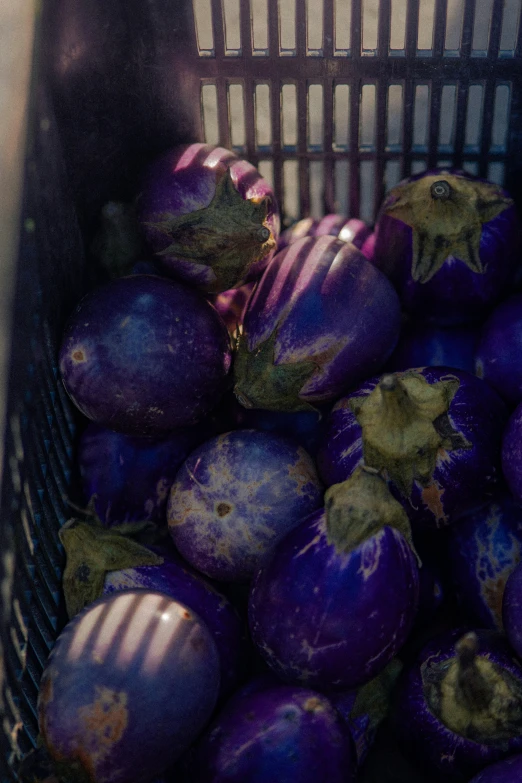 this is a basket full of purple bananas