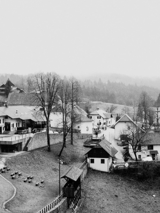 a black and white po with trees in the background