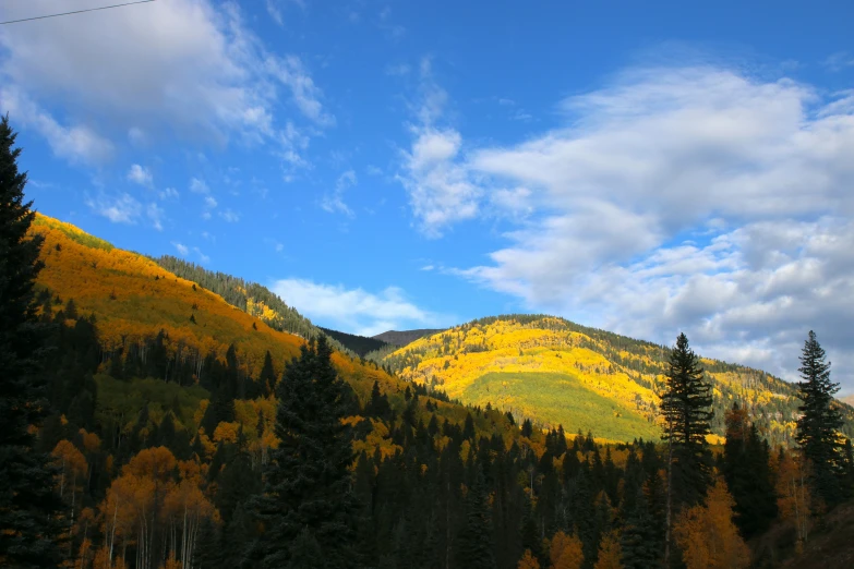 there is a mountain that has yellow leaves on it