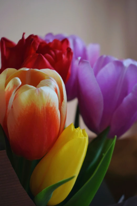 several flowers in a vase and one in the front