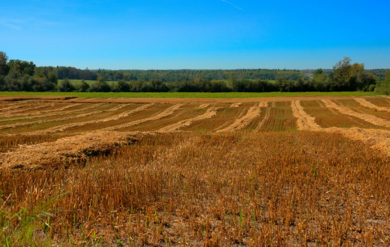 a field with several rows of hay next to each other