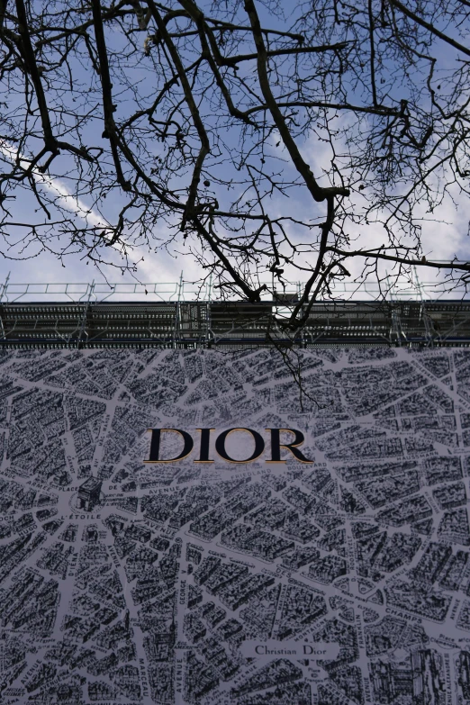 the word dior written on a map under some nches