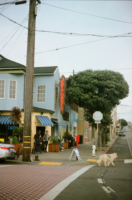 some people are walking down the street with their dog