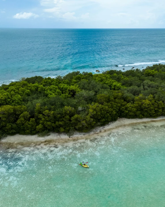 two people in yellow kayaks are traveling on the water