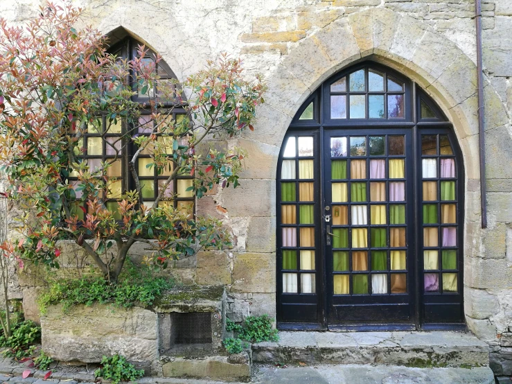 the stained glass windows have plants in them