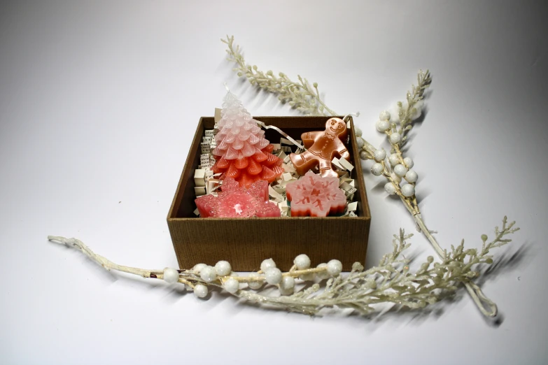 an open box containing flowers, seashells, and marsh