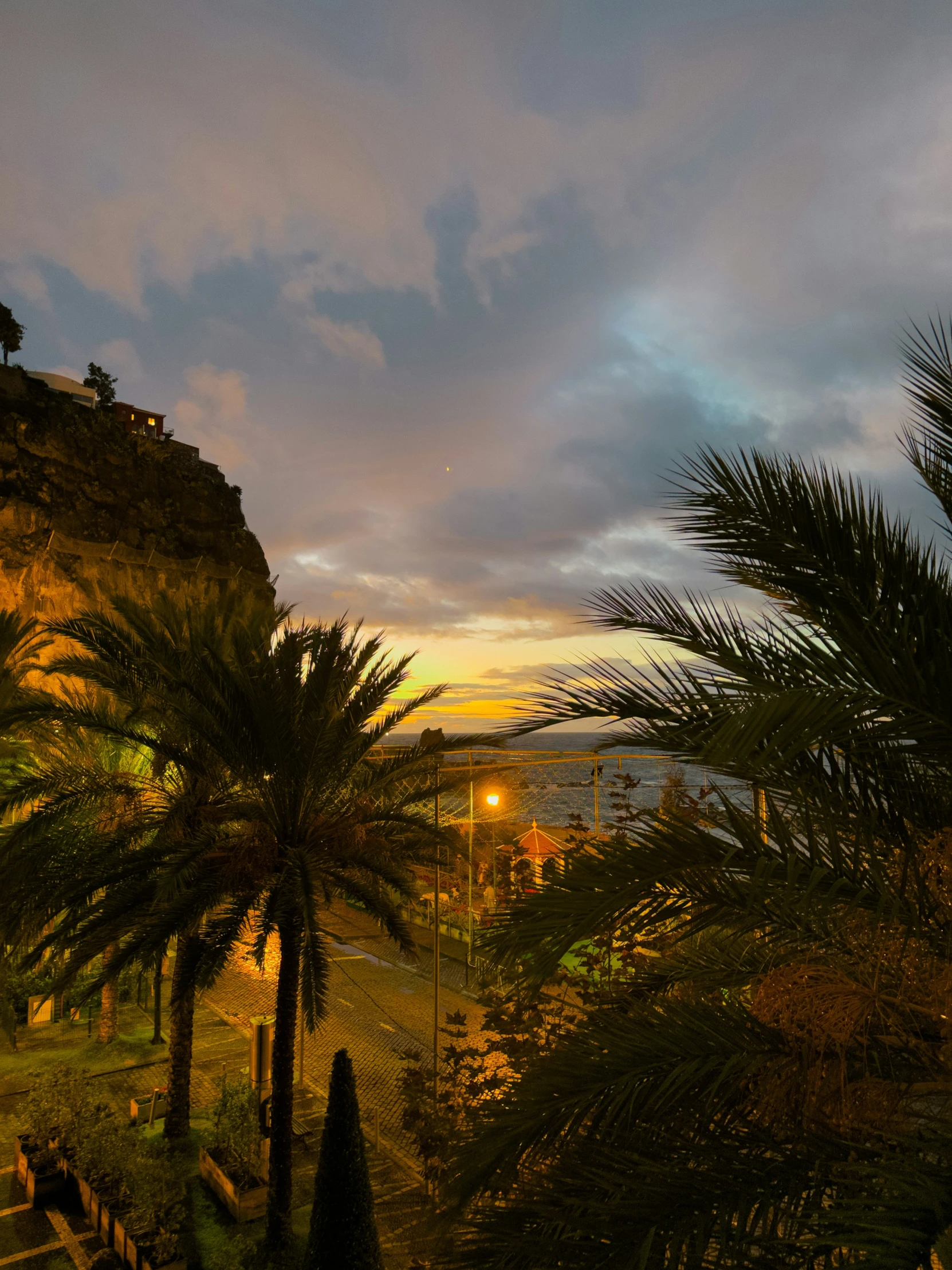 an evening view of a beautiful beach and palm trees