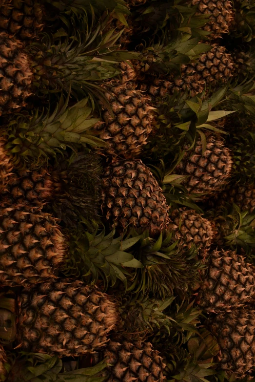 a close up image of pineapples