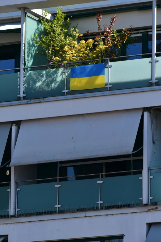 a balcony that has several windows with plant life growing in them