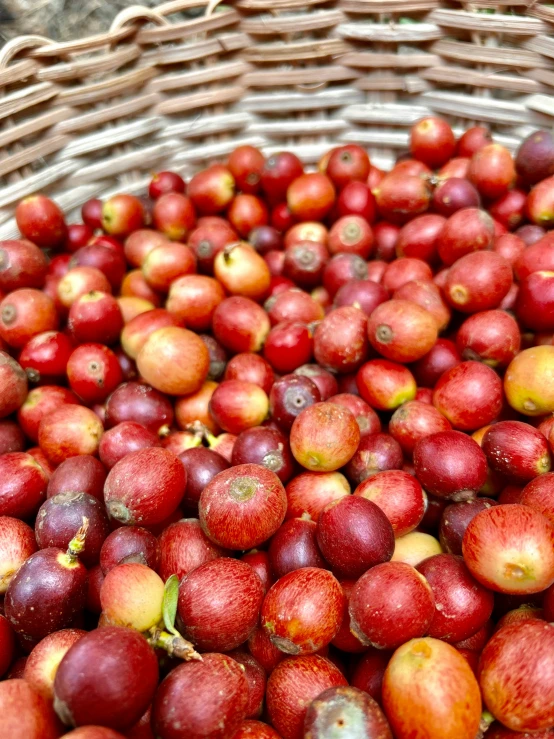 baskets filled with red berries sit on top of each other