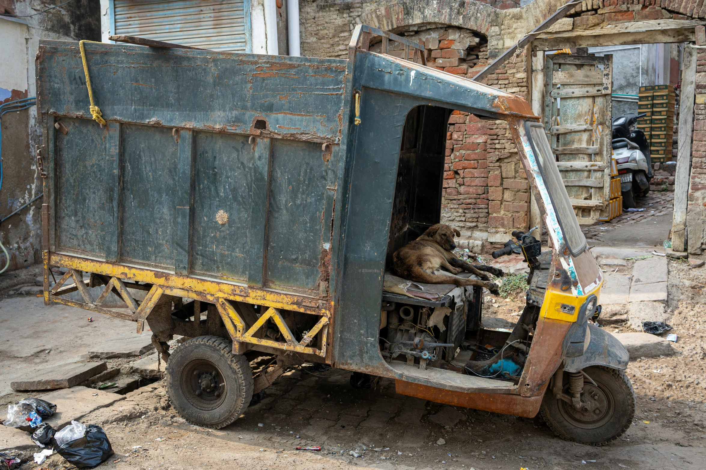 an old truck with a cat in the back and in the bed