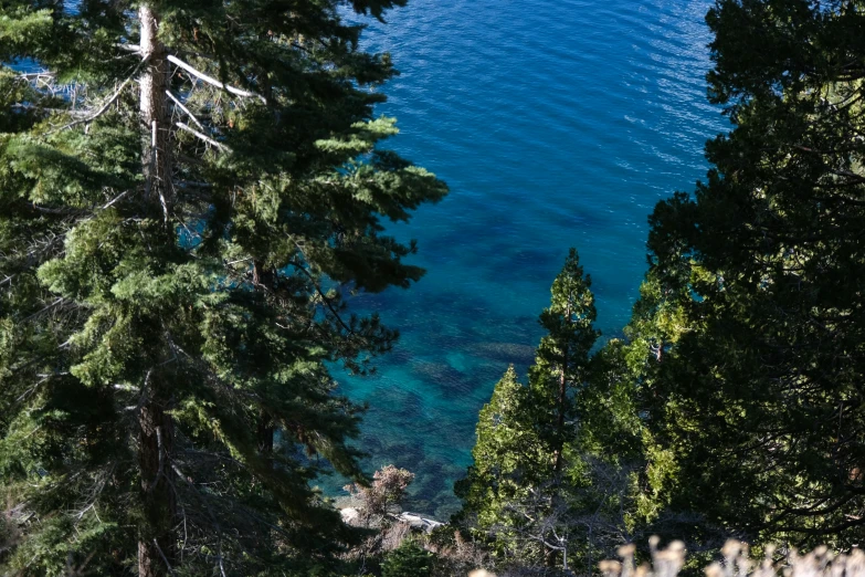 a scenic po of a clear blue water surrounded by trees