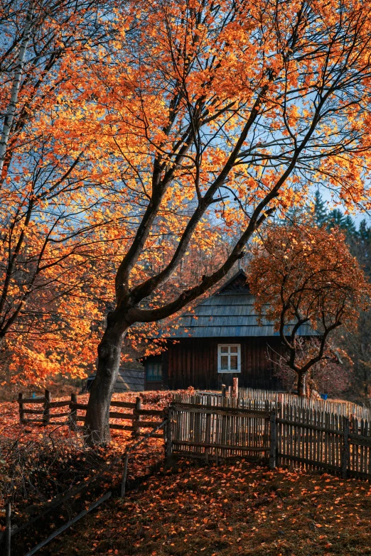 an old barn sits in a wooded area