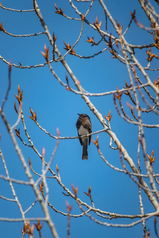 a small bird is perched on a nch