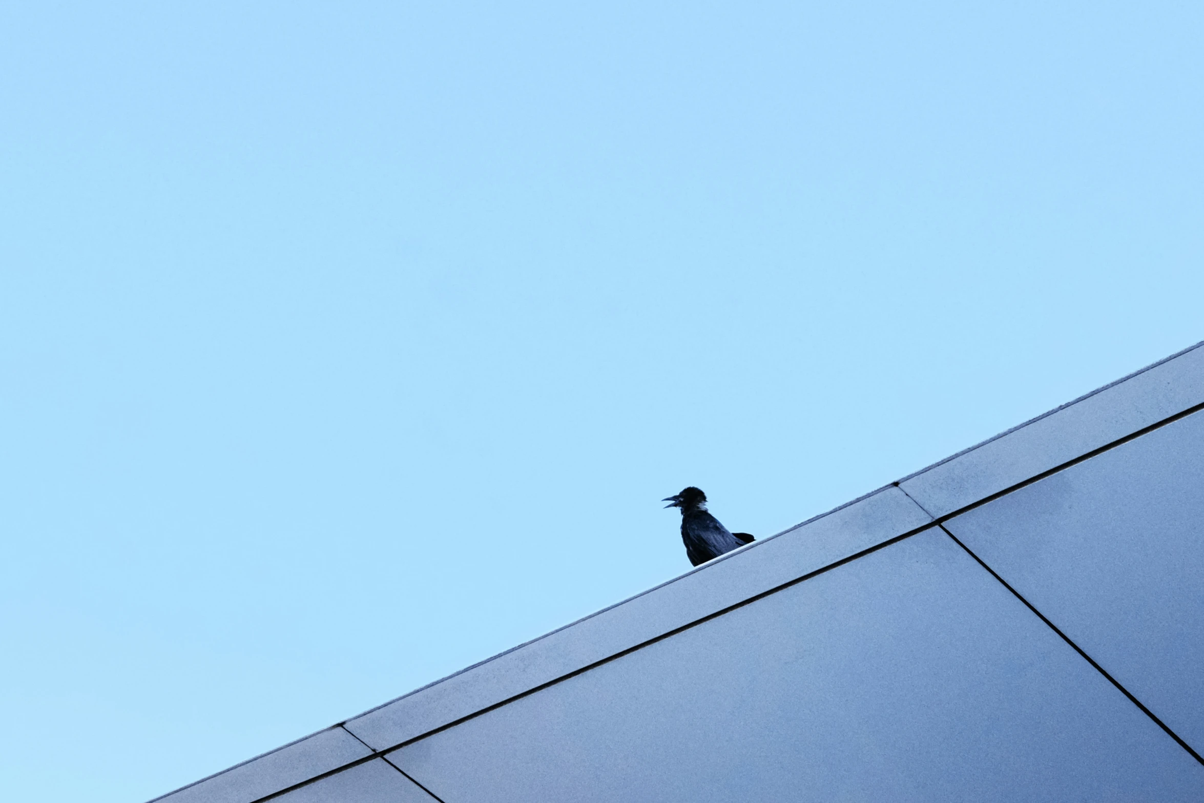 a bird sits on top of a tall structure