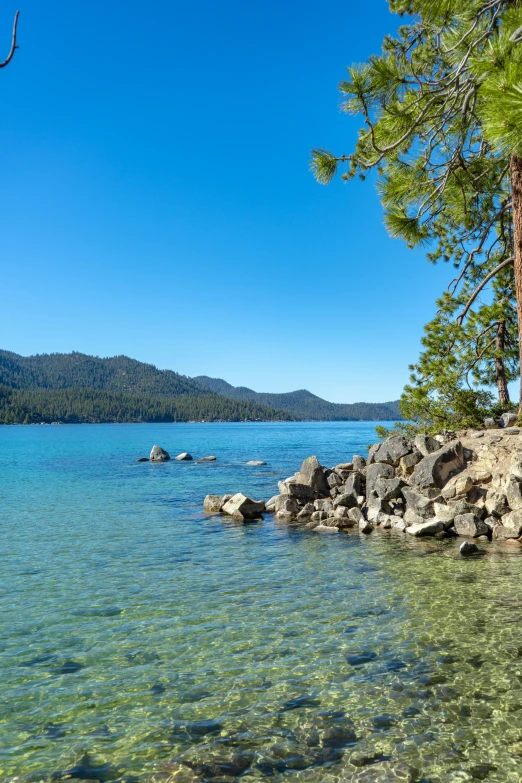 the clear waters and rocks are covered by green leaves