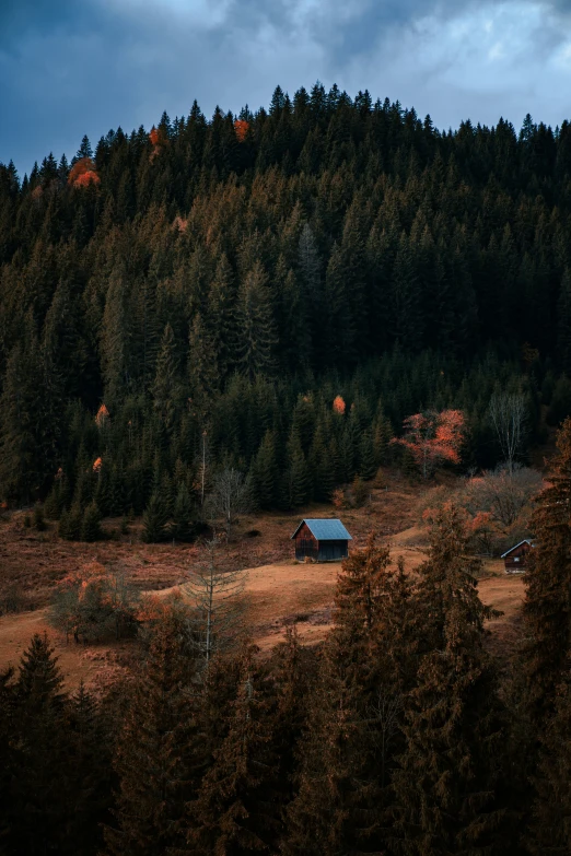 an area with a few trees and some small cabins