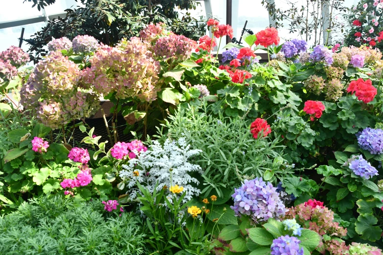 lots of different colored flowers are in the garden