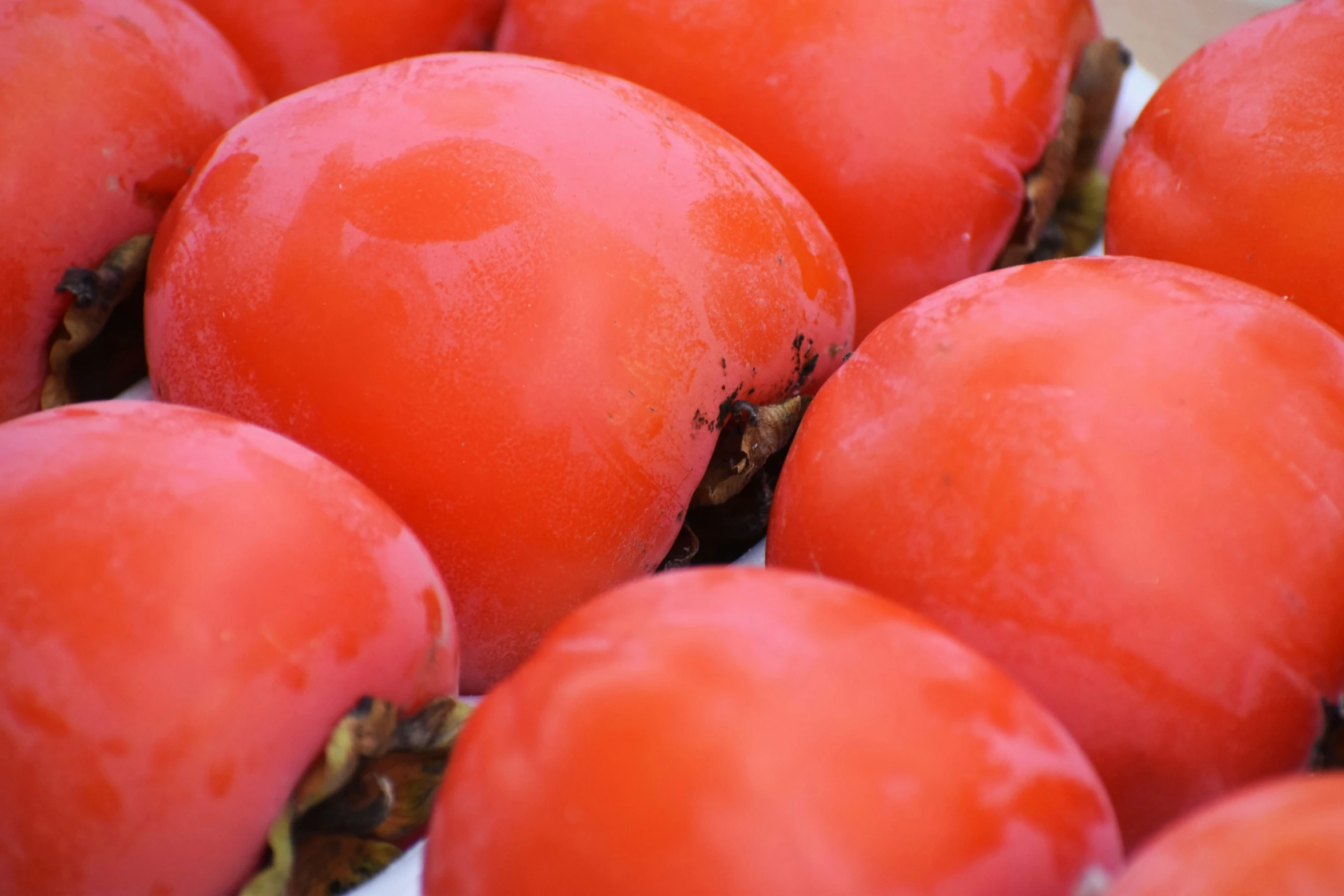 a group of red tomatoes sitting on top of a white plate