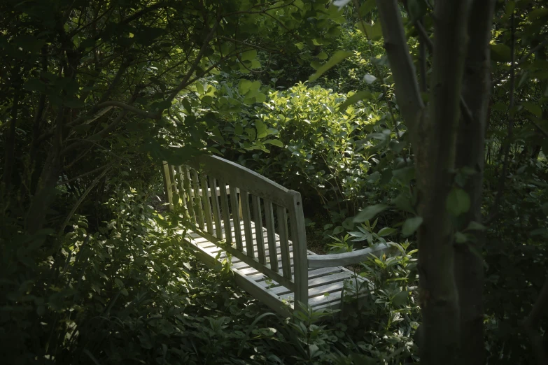 there is a bench that can be seen in the woods