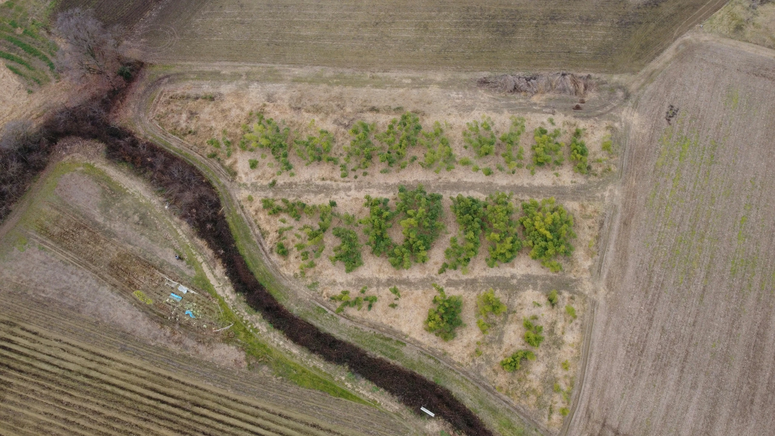 aerial view of green and brown fields and a river