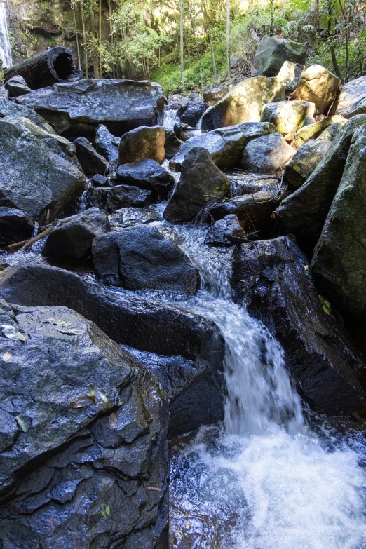 a flowing river running between large rocks next to a forest