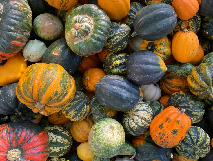 a pile of colorful gourds sitting next to each other