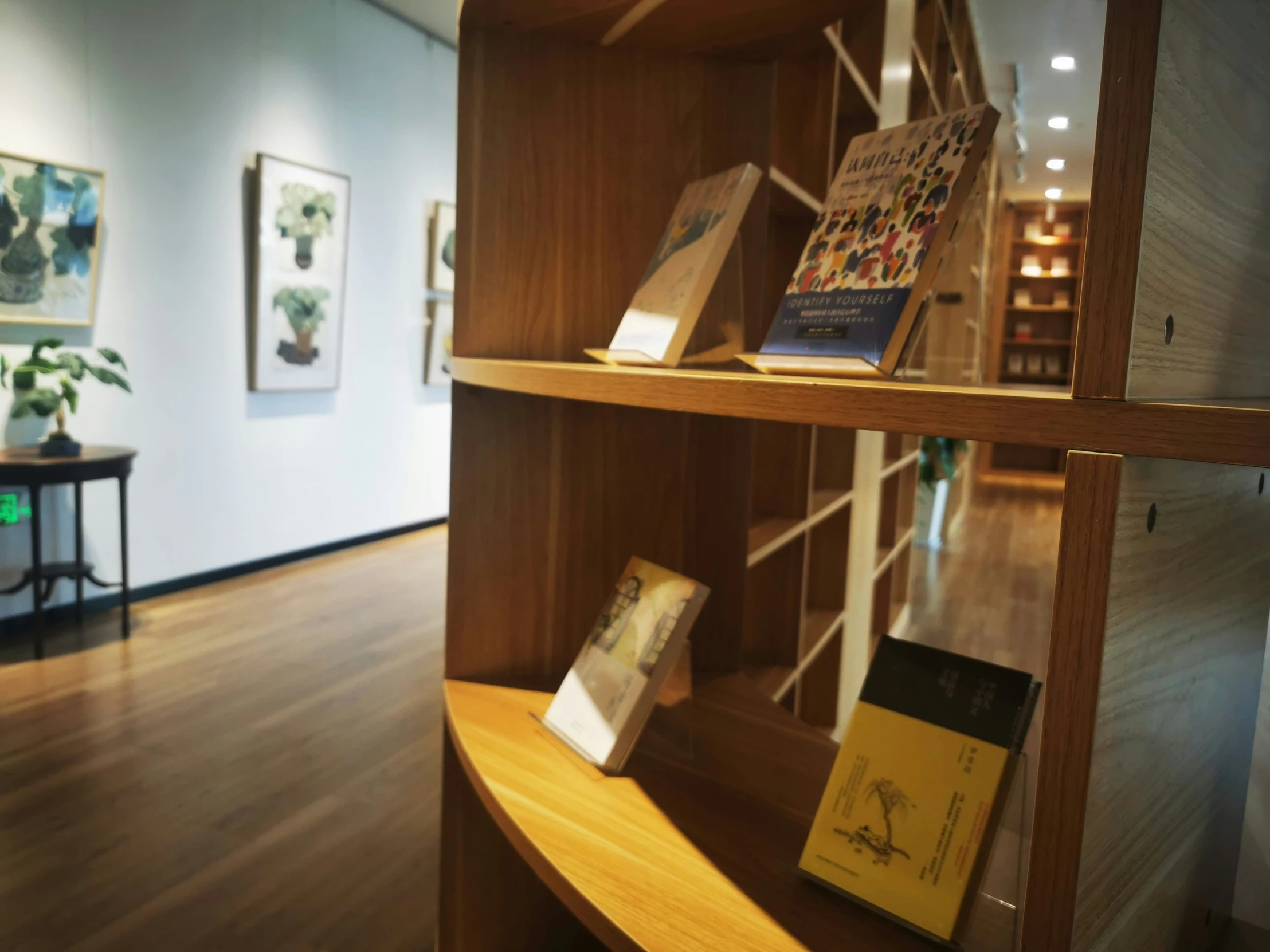 books on shelves, near the wall, in an office