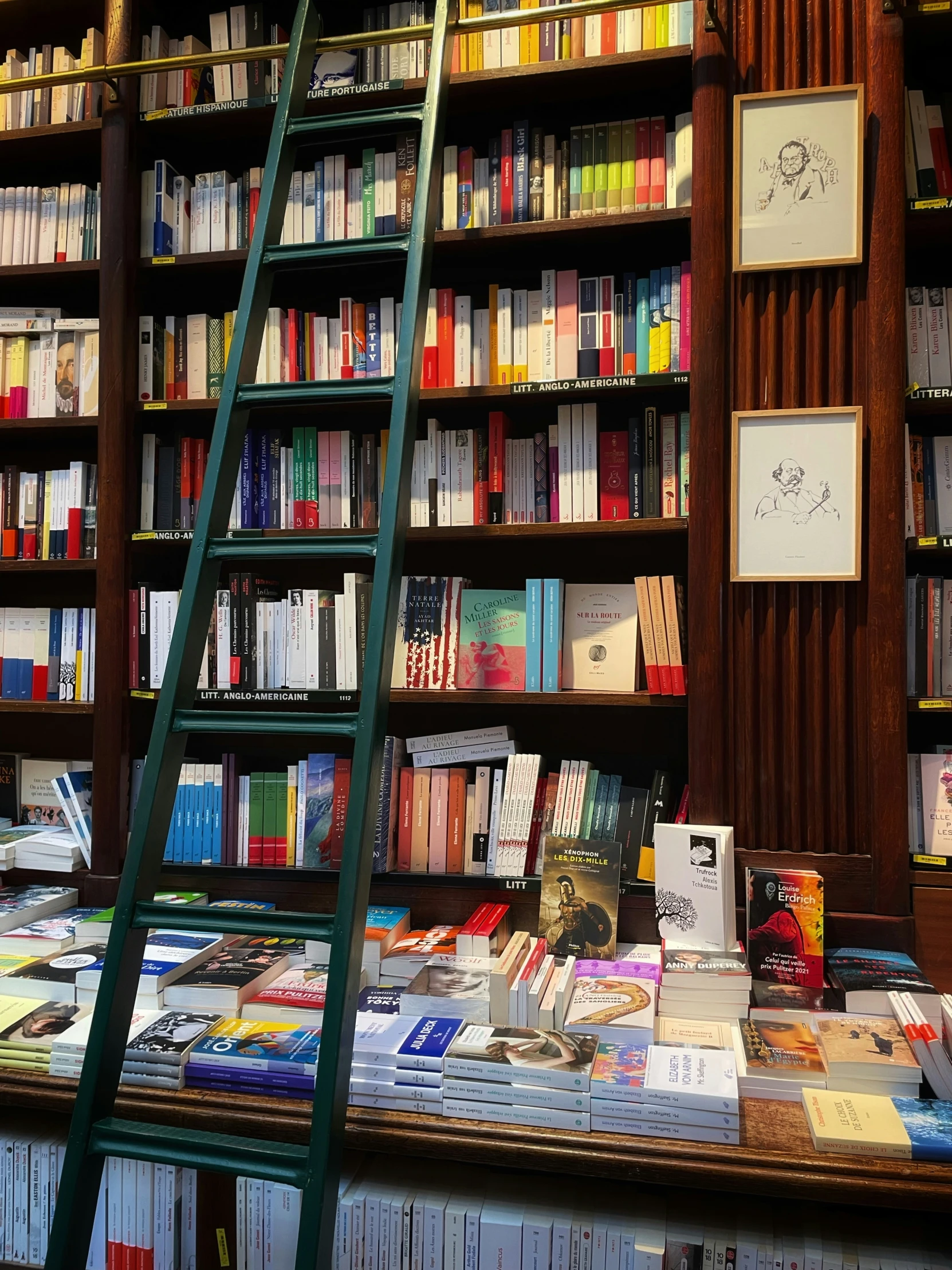 a liry full of books and many ladders in front of the books