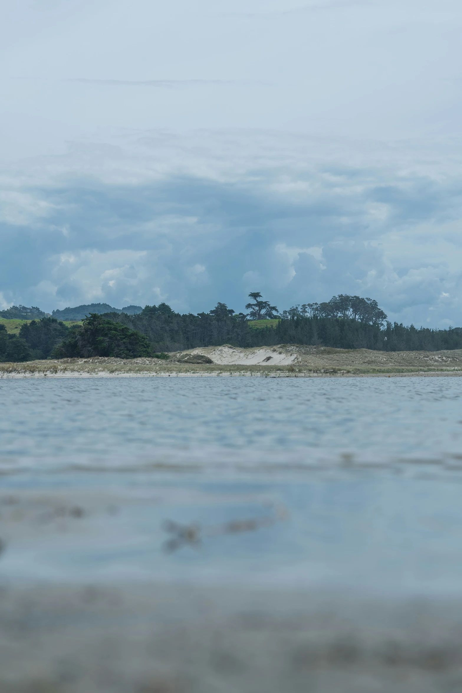 an ocean view with a bird flying over it