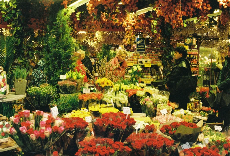 a store with some bunches of flowers on display