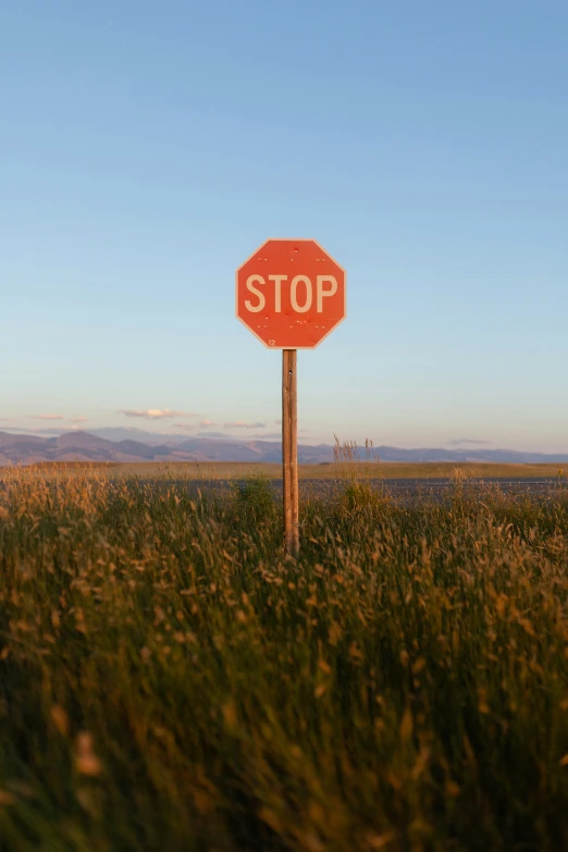 a stop sign on top of a wooden pole in grassy area