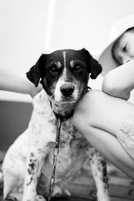 a woman holding a small puppy in her hands