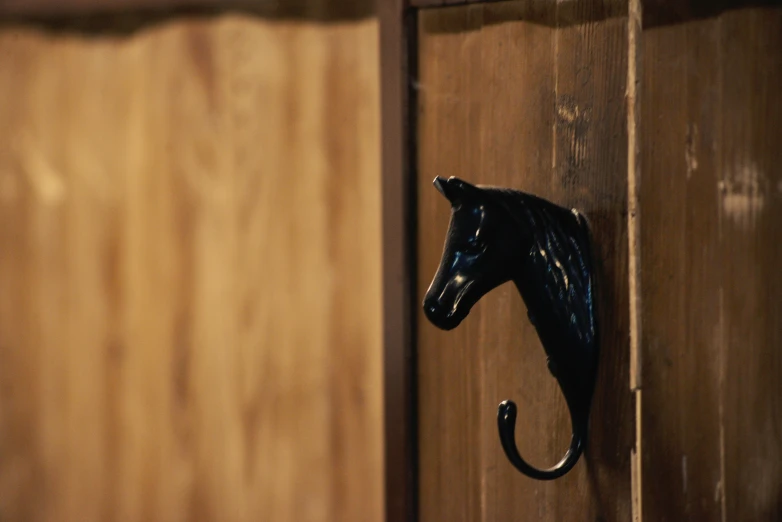 an elegant black horse head hangs on the wall