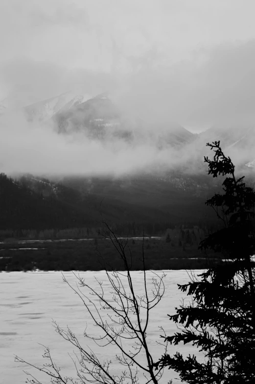 a black and white po of a foggy mountain with trees and snow