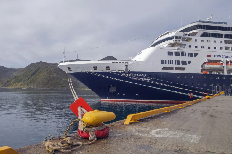 a cruise ship docked next to some other ships