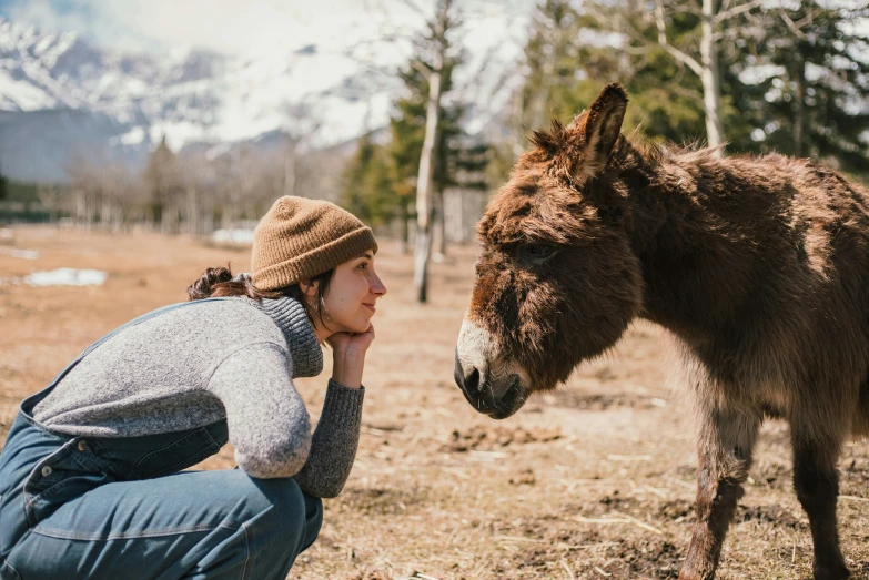 a woman is kneeling in front of a donkey