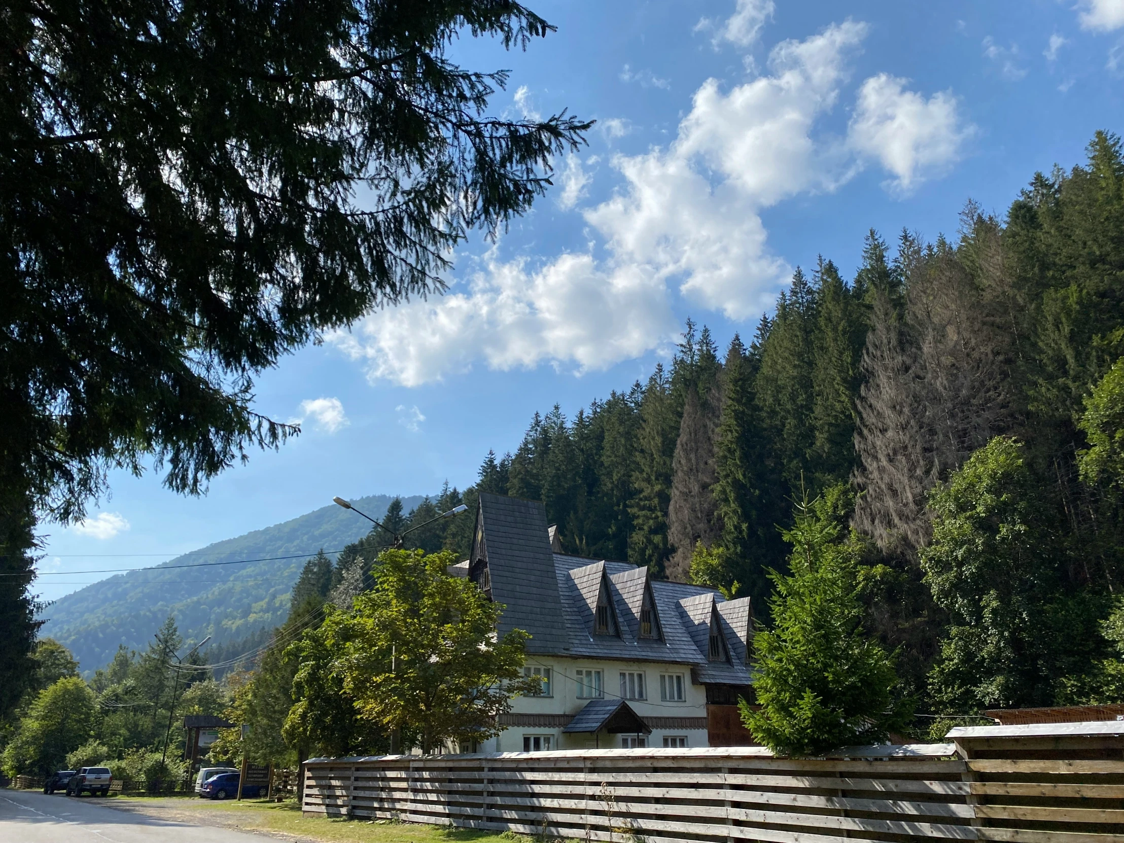 two houses in the middle of some trees