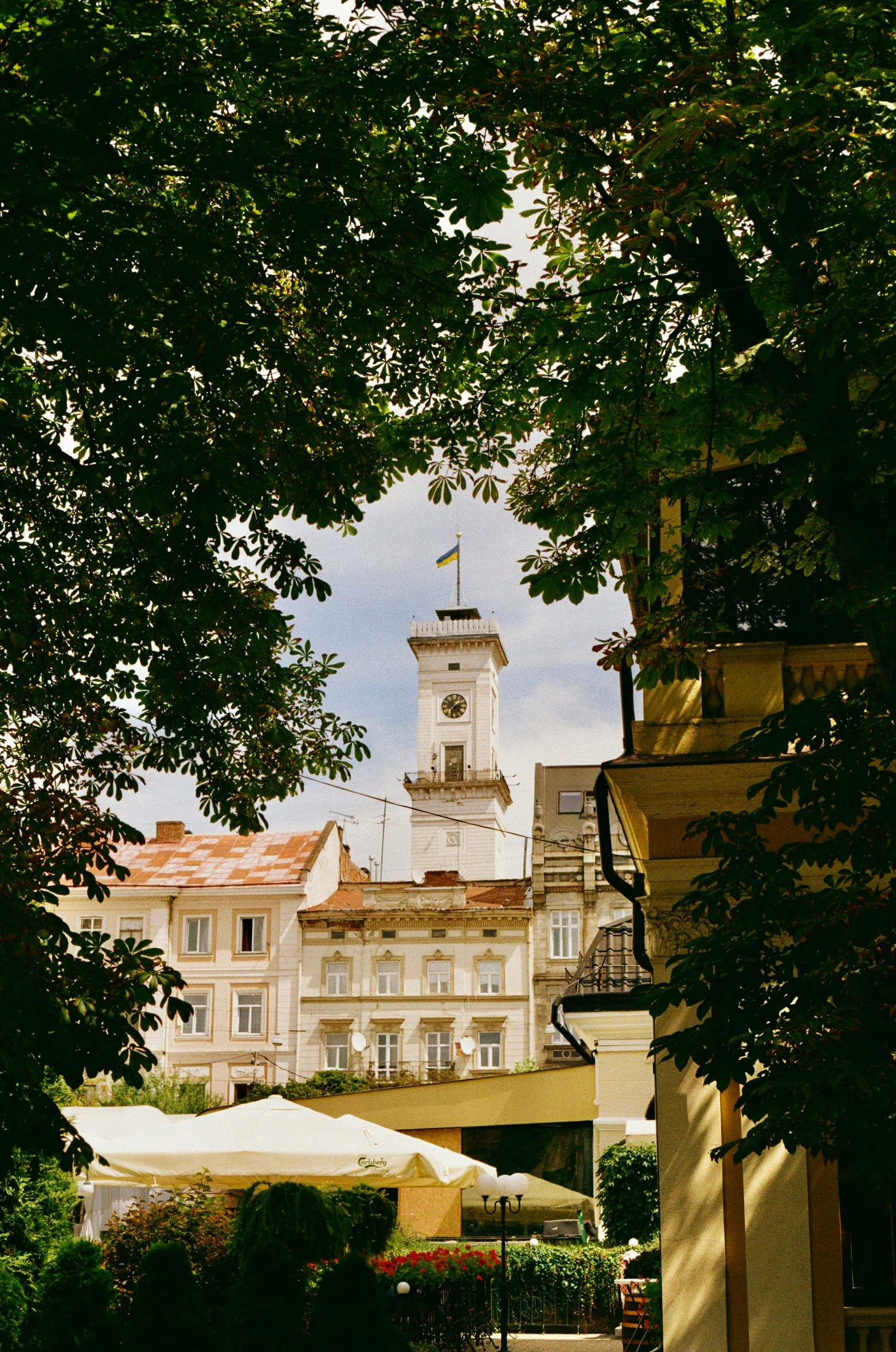 an image of the street with houses and buildings in the background