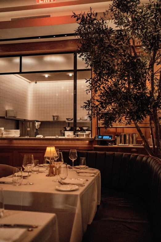 a table setting with empty chairs, lights, and a tree in the middle