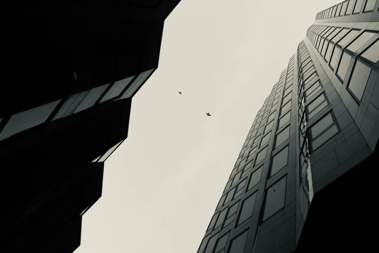 the corner of a tall building with a bird flying by