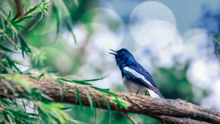 a bird perched on a tree limb holding a fish in it's mouth