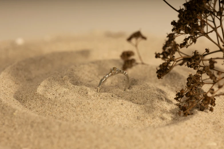 a small ring sitting in the sand and flowers